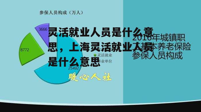 灵活就业人员是什么意思，上海灵活就业人员是什么意思