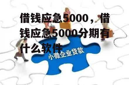 借钱应急5000，借钱应急5000分期有什么软件