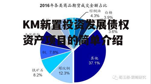 KM新置投资发展债权资产项目的简单介绍