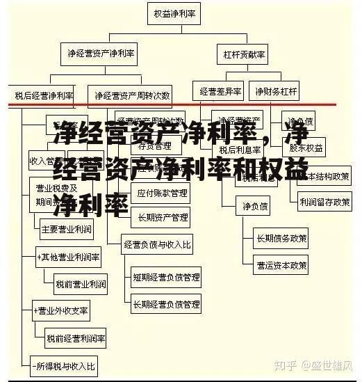 净经营资产净利率，净经营资产净利率和权益净利率