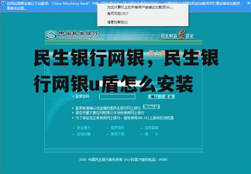 民生银行网银，民生银行网银u盾怎么安装