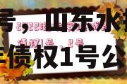 山东水投2022年债权1号，山东水投2022年债权1号公告