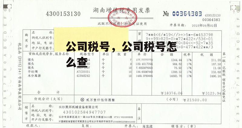 公司税号，公司税号怎么查