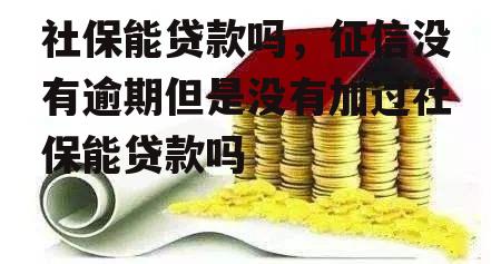 社保能贷款吗，征信没有逾期但是没有加过社保能贷款吗