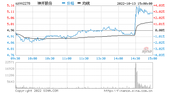 神开股份股票，神开股份股票股吧