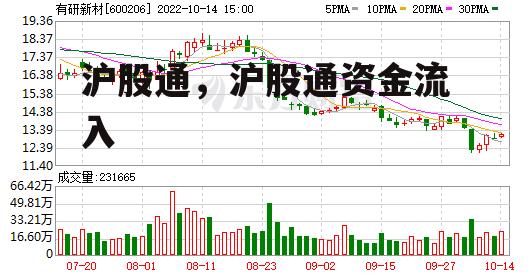 沪股通，沪股通资金流入