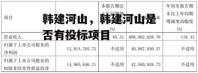 韩建河山，韩建河山是否有投标项目