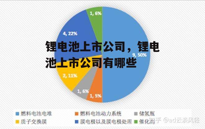 锂电池上市公司，锂电池上市公司有哪些