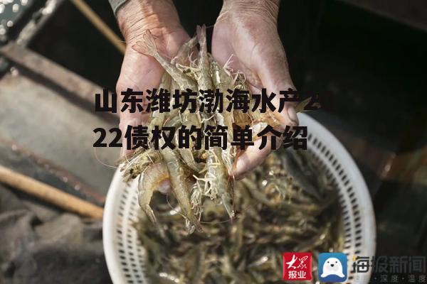 山东潍坊渤海水产2022债权的简单介绍