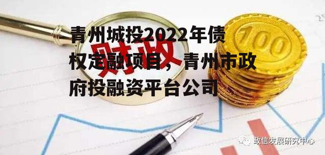 青州城投2022年债权定融项目，青州市政府投融资平台公司