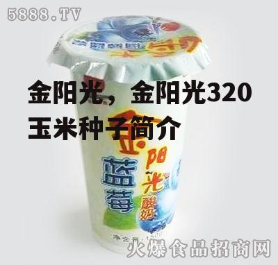 金阳光，金阳光320玉米种子简介