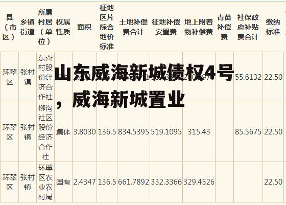 山东威海新城债权4号，威海新城置业