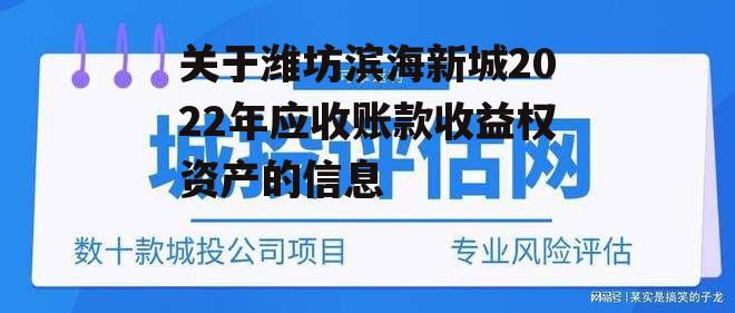 关于潍坊滨海新城2022年应收账款收益权资产的信息