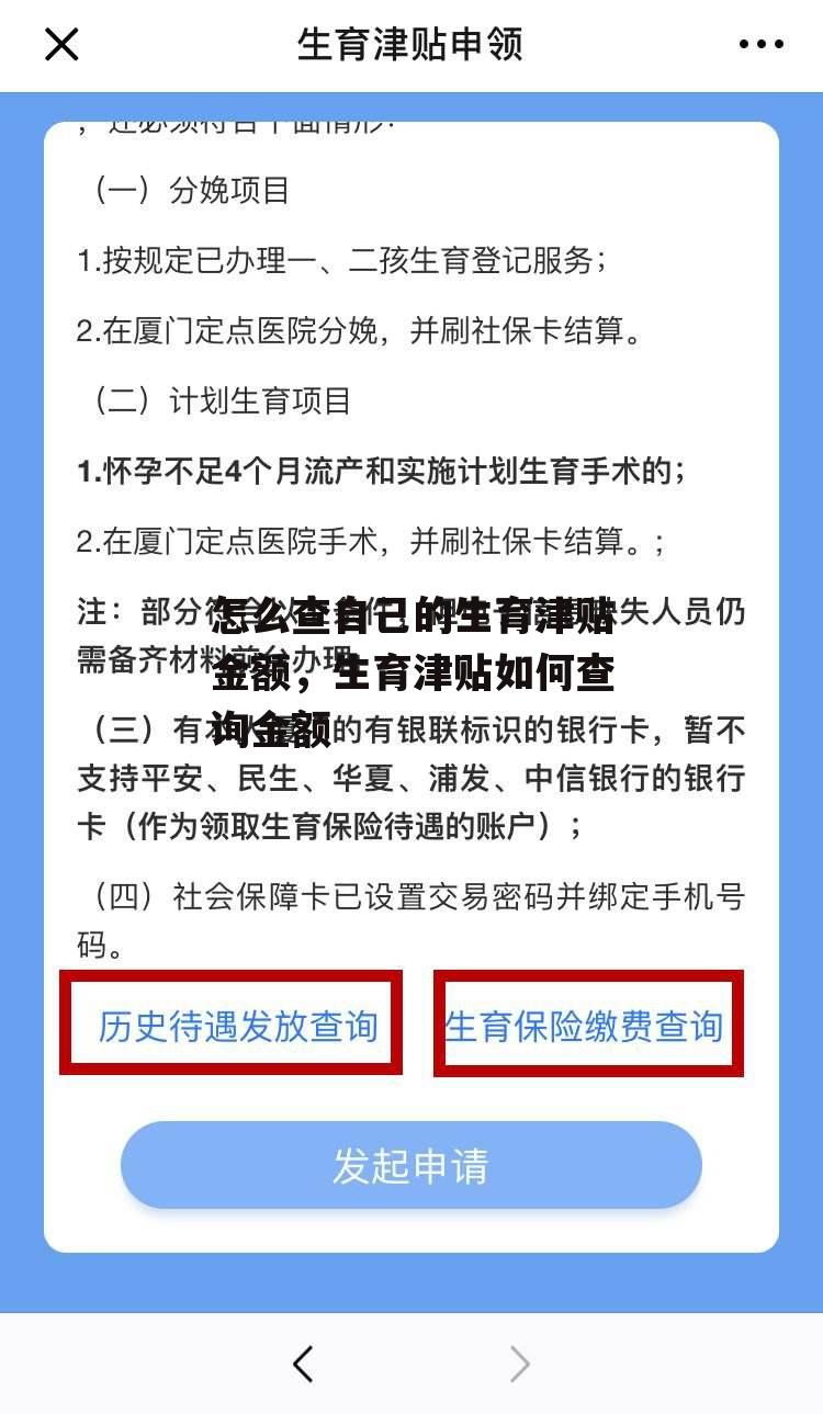 怎么查自己的生育津贴金额，生育津贴如何查询金额