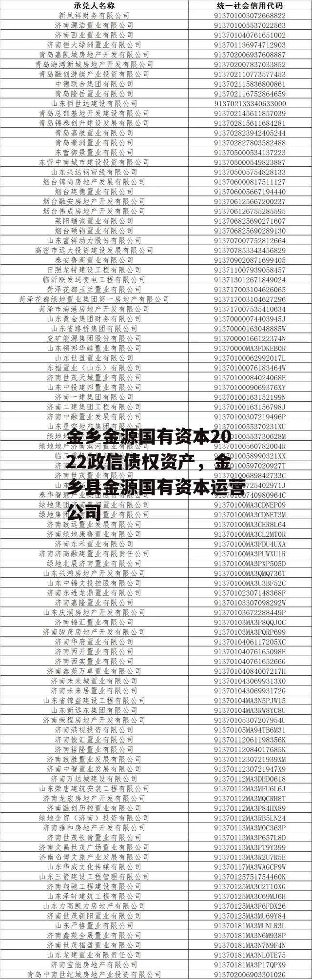 金乡金源国有资本2022政信债权资产，金乡县金源国有资本运营公司