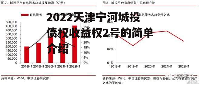 2022天津宁河城投债权收益权2号的简单介绍