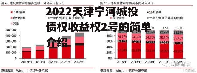 2022天津宁河城投债权收益权2号的简单介绍