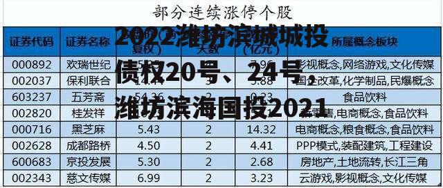 2022潍坊滨城城投债权20号、24号，潍坊滨海国投2021