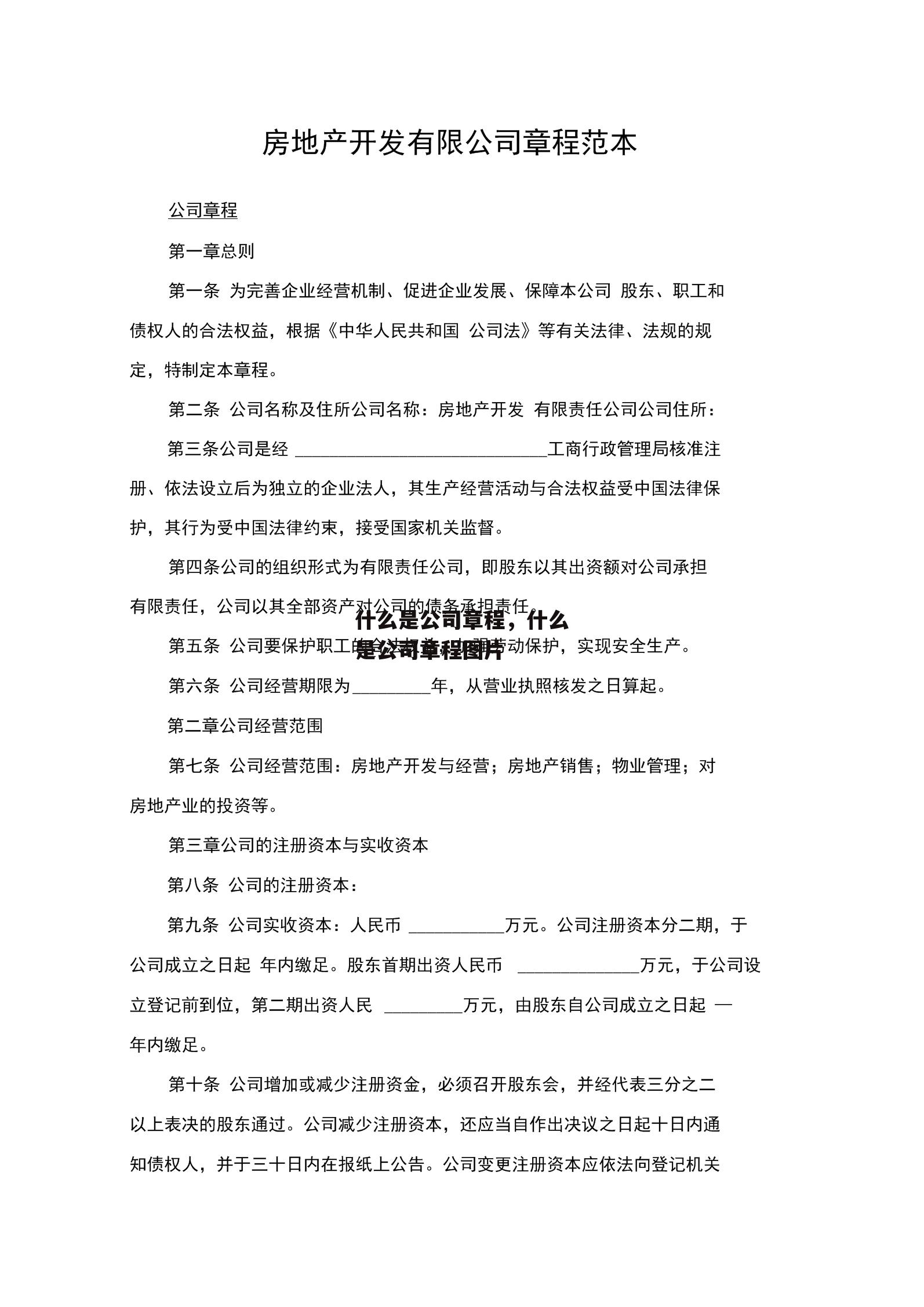 什么是公司章程，什么是公司章程图片