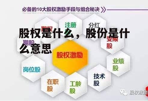 股权是什么，股份是什么意思