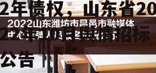 昌邑市渤维控股2022年债权，山东省2022年10月舆情招标公告