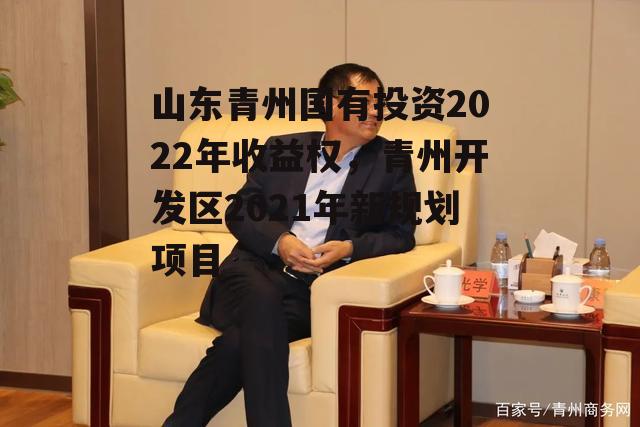 山东青州国有投资2022年收益权，青州开发区2021年新规划项目