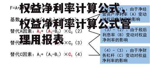 权益净利率计算公式，权益净利率计算公式管理用报表