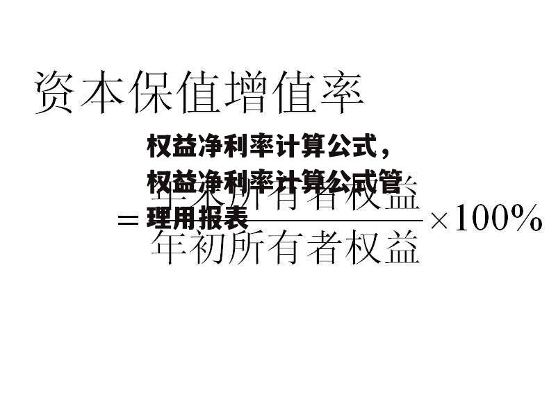 权益净利率计算公式，权益净利率计算公式管理用报表