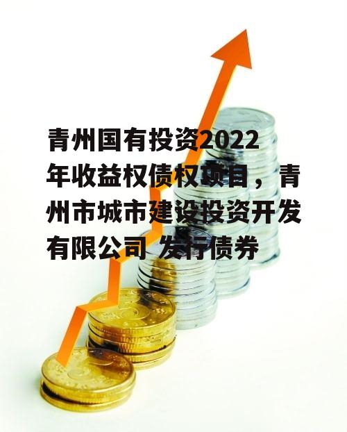 青州国有投资2022年收益权债权项目，青州市城市建设投资开发有限公司 发行债券