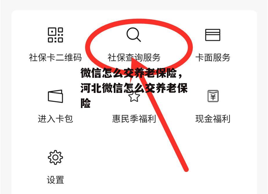 微信怎么交养老保险，河北微信怎么交养老保险
