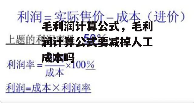 毛利润计算公式，毛利润计算公式要减掉人工成本吗