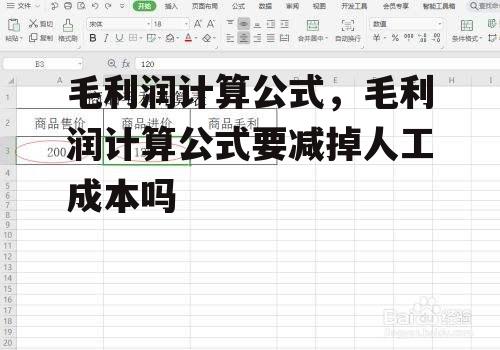 毛利润计算公式，毛利润计算公式要减掉人工成本吗