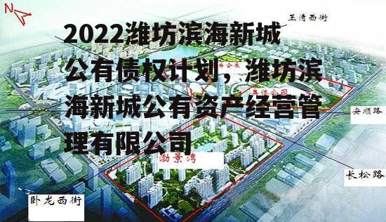 2022潍坊滨海新城公有债权计划，潍坊滨海新城公有资产经营管理有限公司