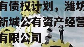 2022潍坊滨海新城公有债权计划，潍坊滨海新城公有资产经营管理有限公司