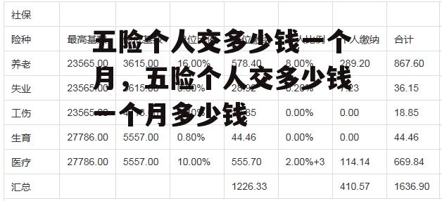 五险个人交多少钱一个月，五险个人交多少钱一个月多少钱