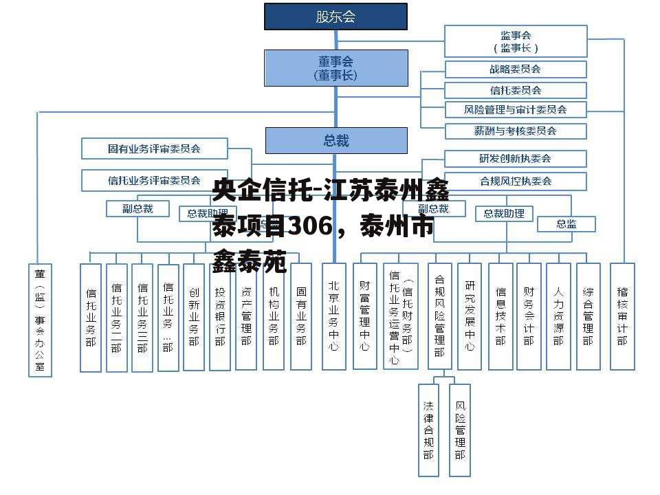 央企信托-江苏泰州鑫泰项目306，泰州市鑫泰苑