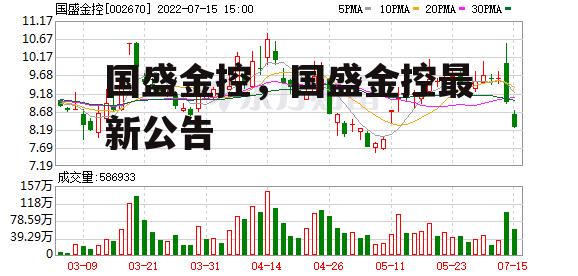 国盛金控，国盛金控最新公告