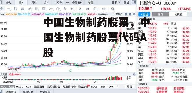 中国生物制药股票，中国生物制药股票代码A股