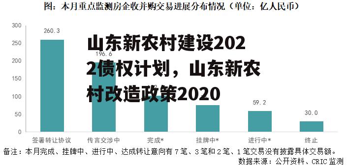 山东新农村建设2022债权计划，山东新农村改造政策2020