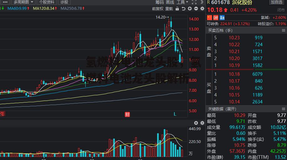 氢燃料电池龙头股，氢燃料电池龙头股解析