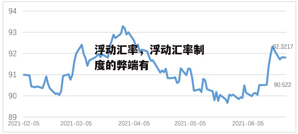 浮动汇率，浮动汇率制度的弊端有