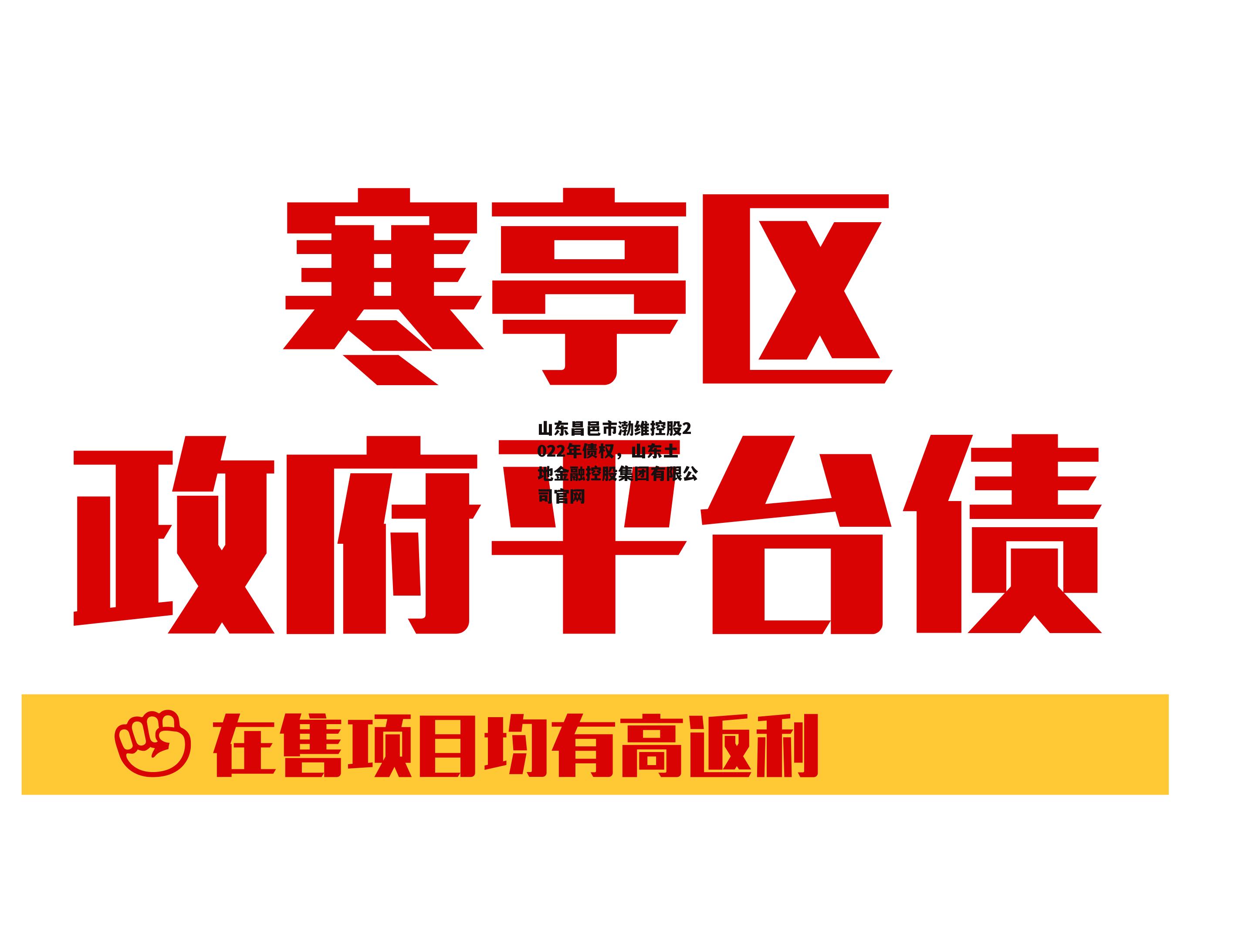 山东昌邑市渤维控股2022年债权，山东土地金融控股集团有限公司官网