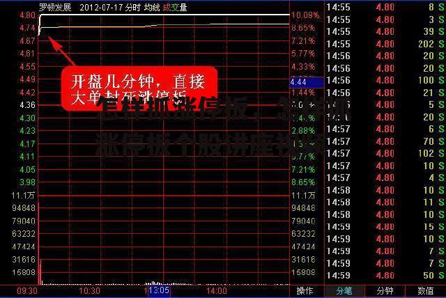 怎样抓涨停板，怎样抓涨停板个股讲座视频