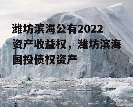 潍坊滨海公有2022资产收益权，潍坊滨海国投债权资产