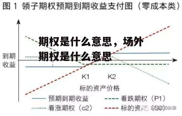 期权是什么意思，场外期权是什么意思