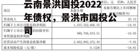 云南景洪国投2022年债权，景洪市国投公司