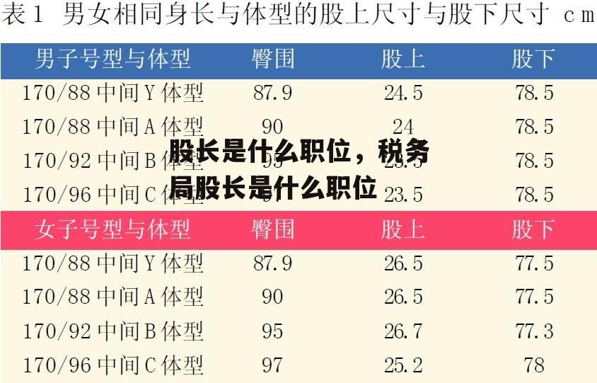 股长是什么职位，税务局股长是什么职位