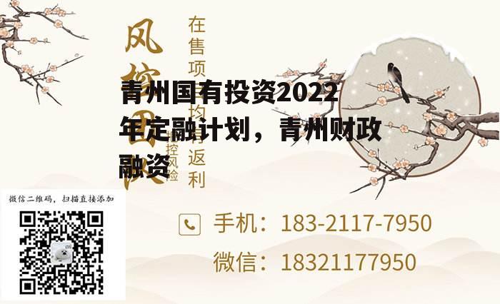 青州国有投资2022年定融计划，青州财政融资