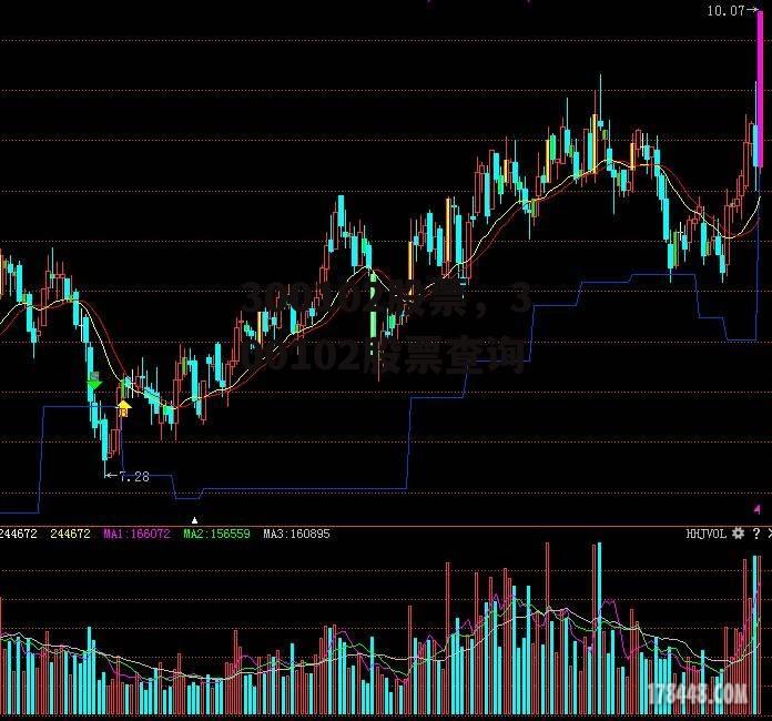 300102股票，300102股票查询