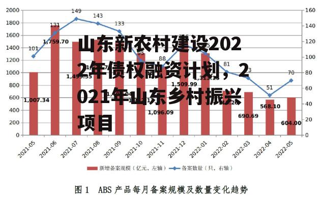 山东新农村建设2022年债权融资计划，2021年山东乡村振兴项目